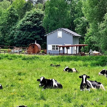 Z Sauna I Balia Jakuzii W Gluszy *