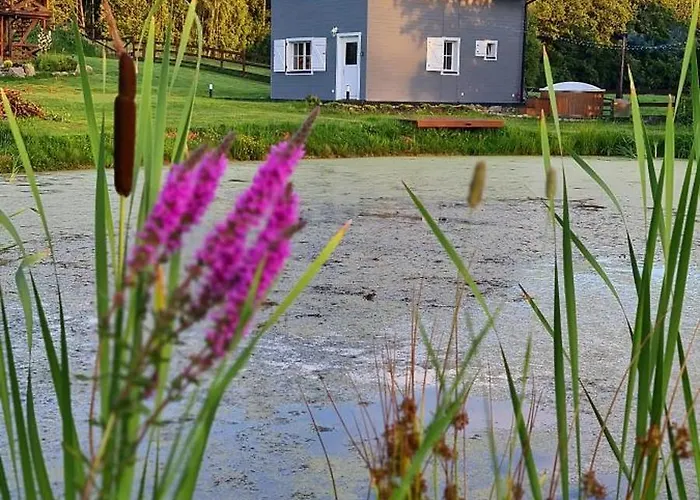 Holiday home Z Sauna I Balia Jakuzii W Gluszy *