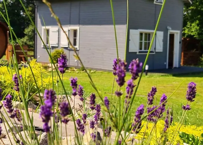 Z Sauna I Balia Jakuzii W Gluszy