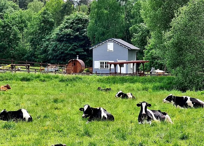 Z Sauna I Balia Jakuzii W Gluszy *