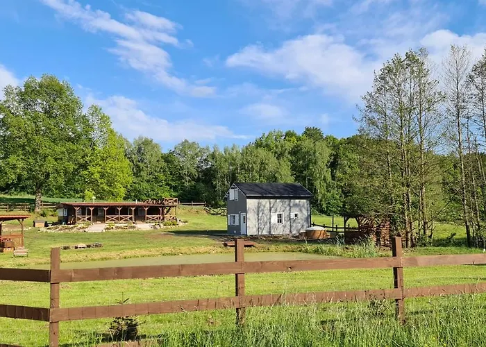 Holiday home Z Sauna I Balia Jakuzii W Gluszy *